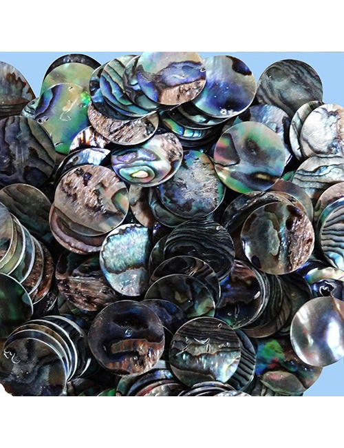 Rondelle paua 0.8 cm (lot de 12pcs)