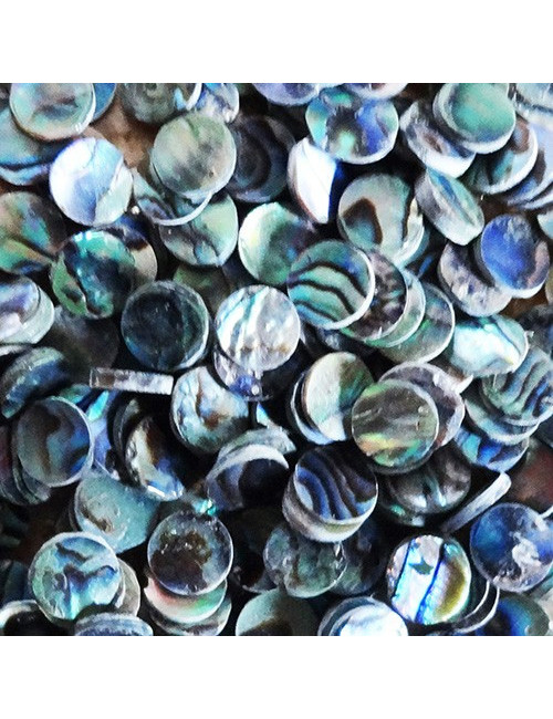 Rondelle paua 0.6 cm (lot de 12pcs)