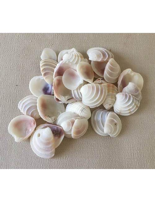 Placamen blanc 1cm au kilo