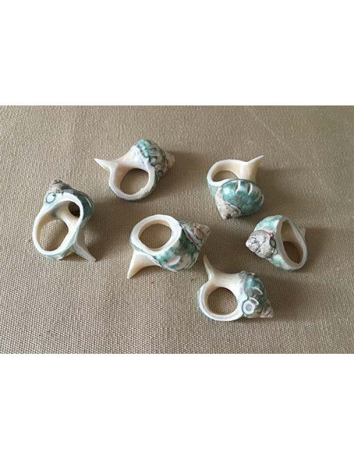 Turbo vert coeur découpé 3.