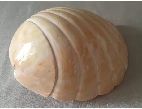 Mélo festonné 21/24cm