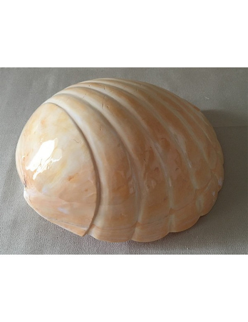 Mélo festonné 21/24cm