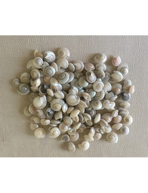 UMBONIUM BLANC 0.