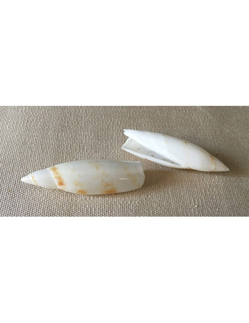 Terebellum blanc 4/5cm (lot de 3)