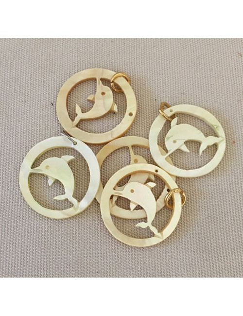 Pendentif nacre perlière dauphin dans cercle + chaine