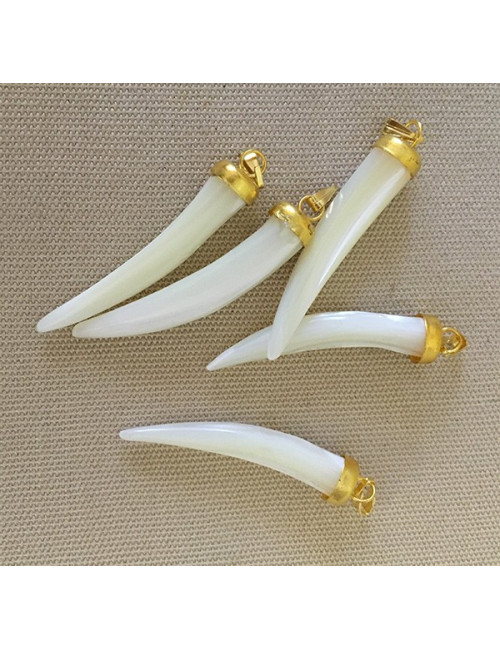 Pendentif dent fine nacre trocha + chaine