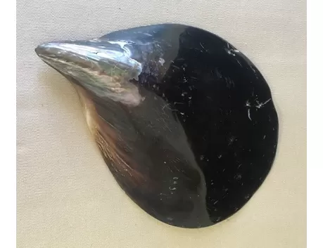 Valve de Pen  Shell 18/25cm