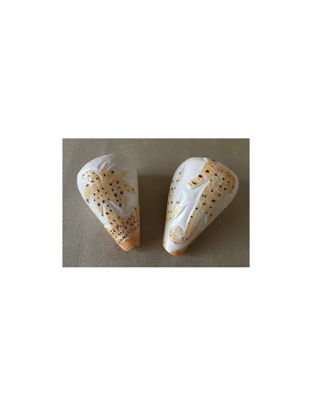 Conus betilinus gravé dauphin 7/8cm