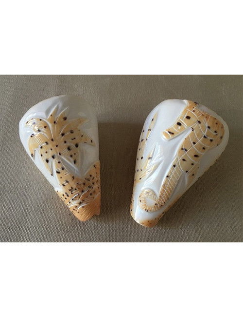 Conus betilinus gravé dauphin 7/8cm