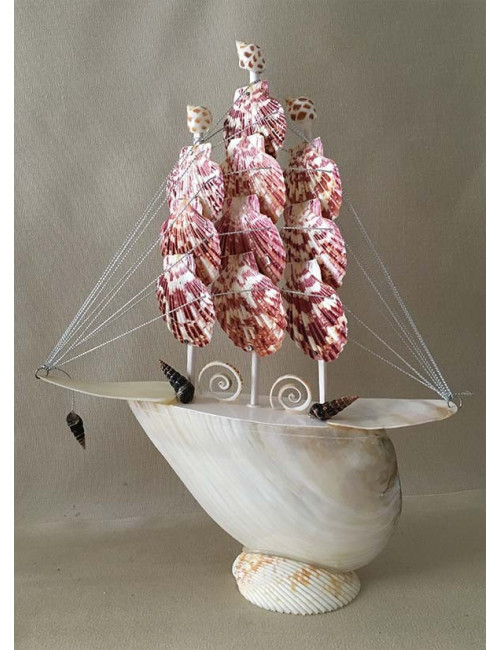 1070 Bateau nacre voiles pecten 25 cm