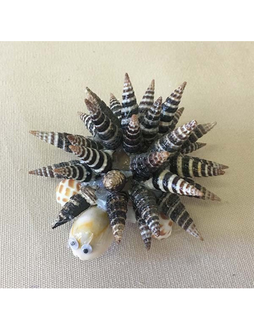 Tortue hérisson battilaria 8/9cm