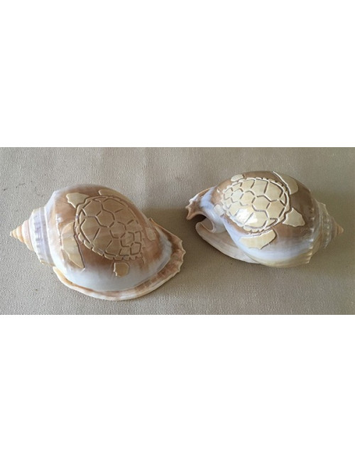 Tortue gravée sur phallium 10cm