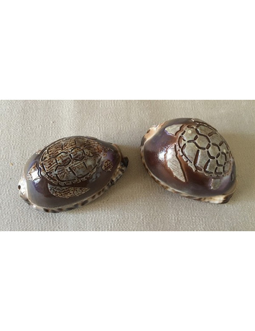 Tortue gravée sur arabica 6cm