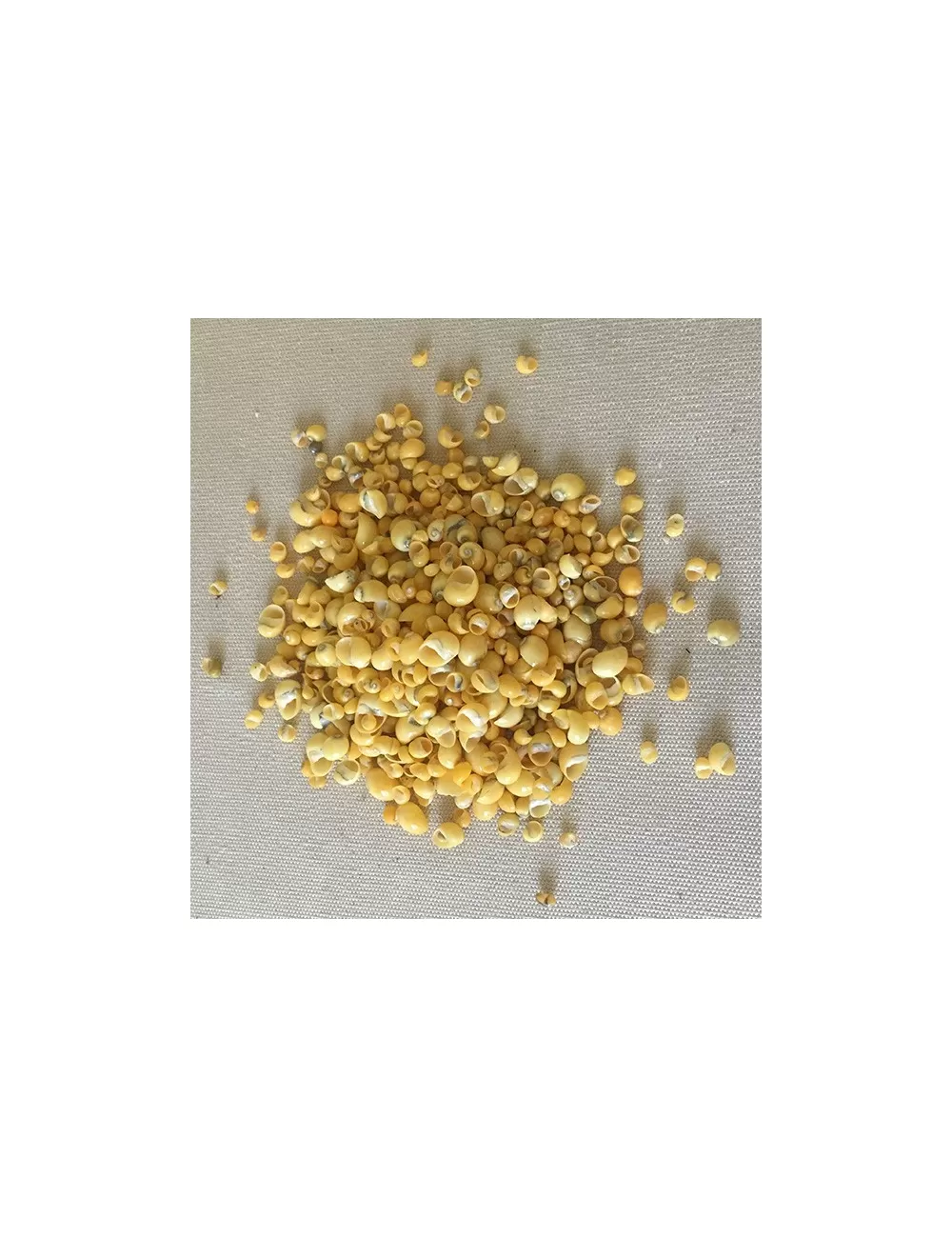 Mini Mango Jaune sachet de 500grs