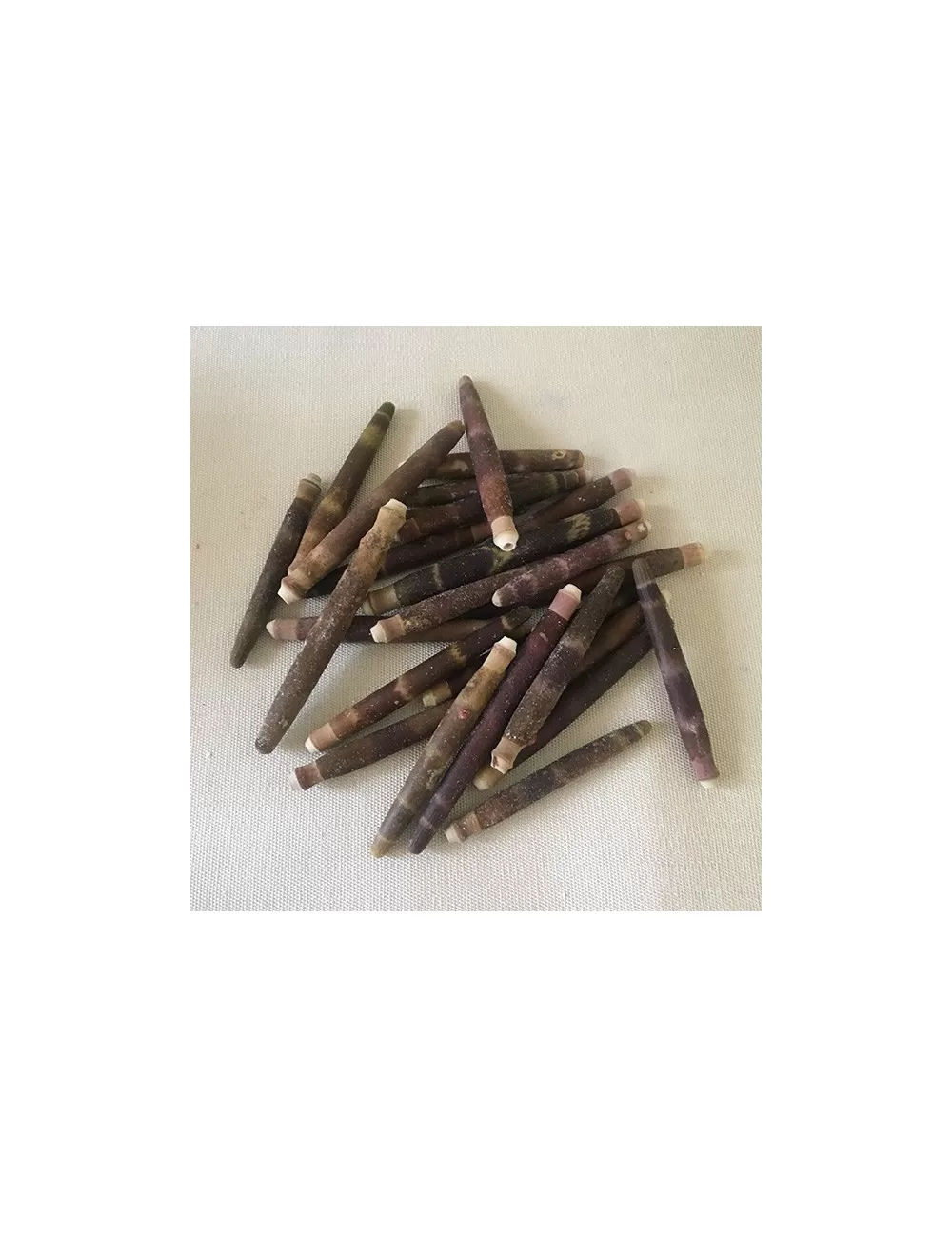 Piquant d'oursin crayon 3/7cm - lot de 1 kg