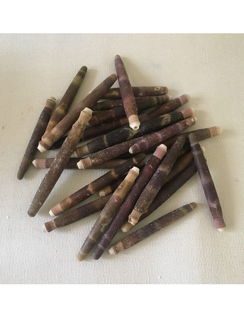 PIQUANT D'OURSIN CRAYON 3/7cm - lot de 1 kg