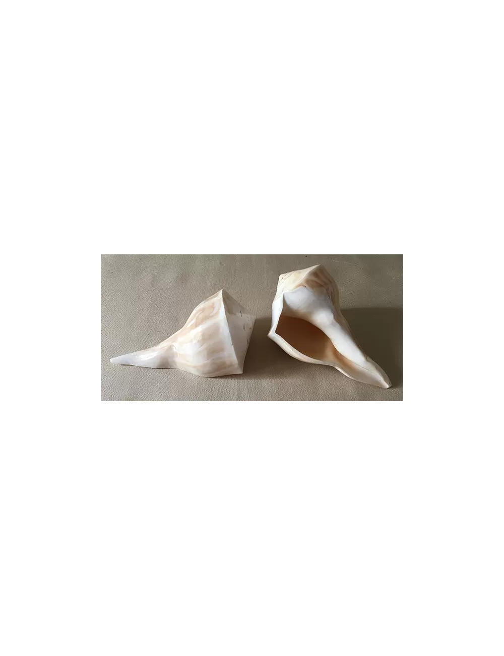 Busicom poli 15/17cm