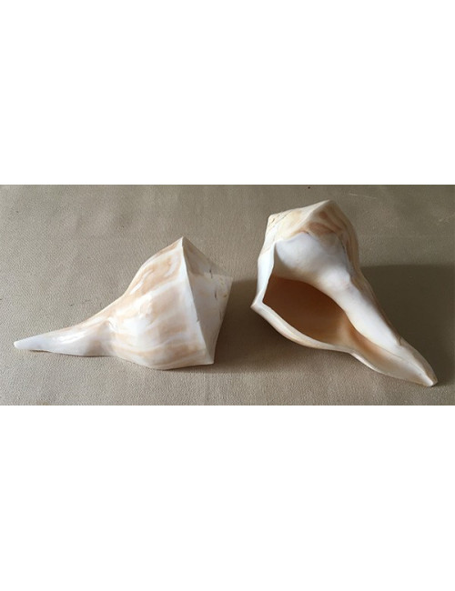 Busicom poli 15/17cm