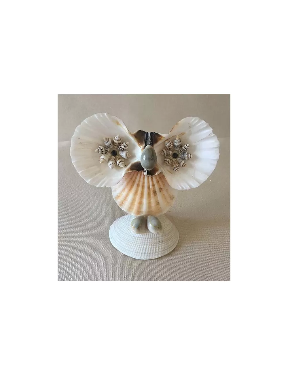 Chouette pecten 10cm