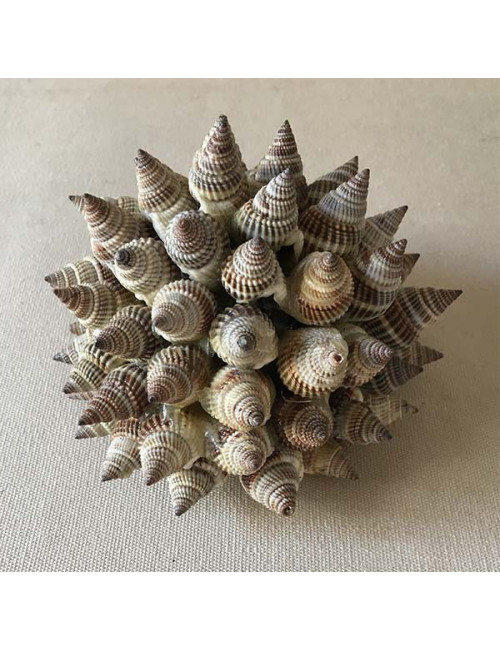 Boule déco façon Herisson avec Livescens