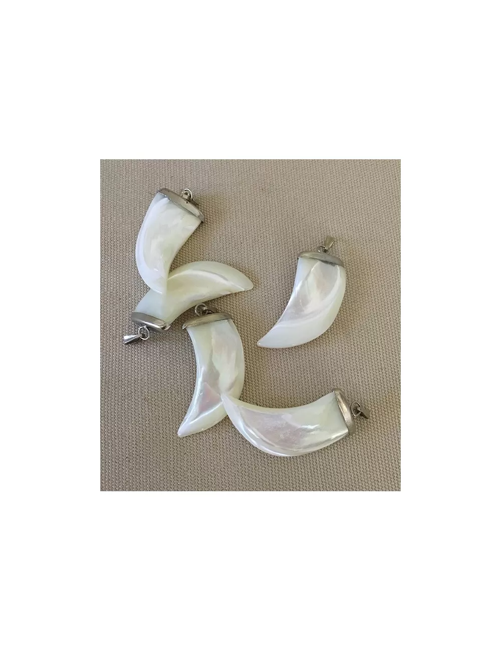 Pendentif dent large monture argentée