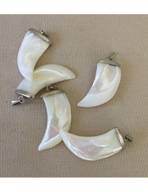 Pendentif dent large monture argentée