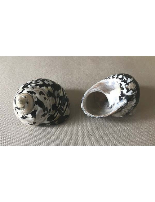 Turbo pica noir 5/7cm