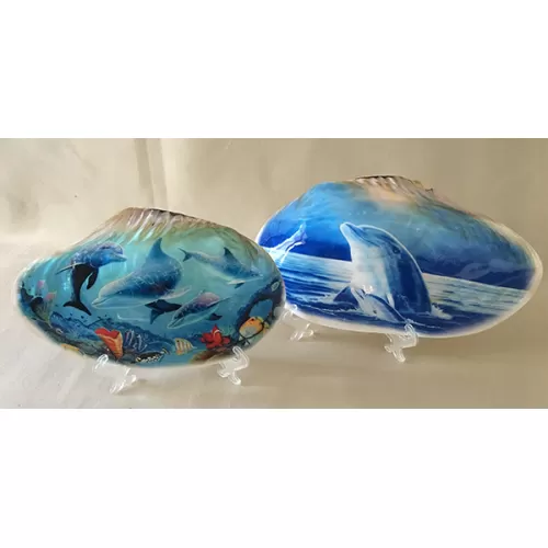 Clam nacre décor mer 24/26cm