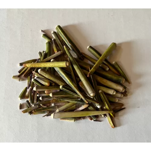 Piques d'oursins vert (sachet de 25pcs)