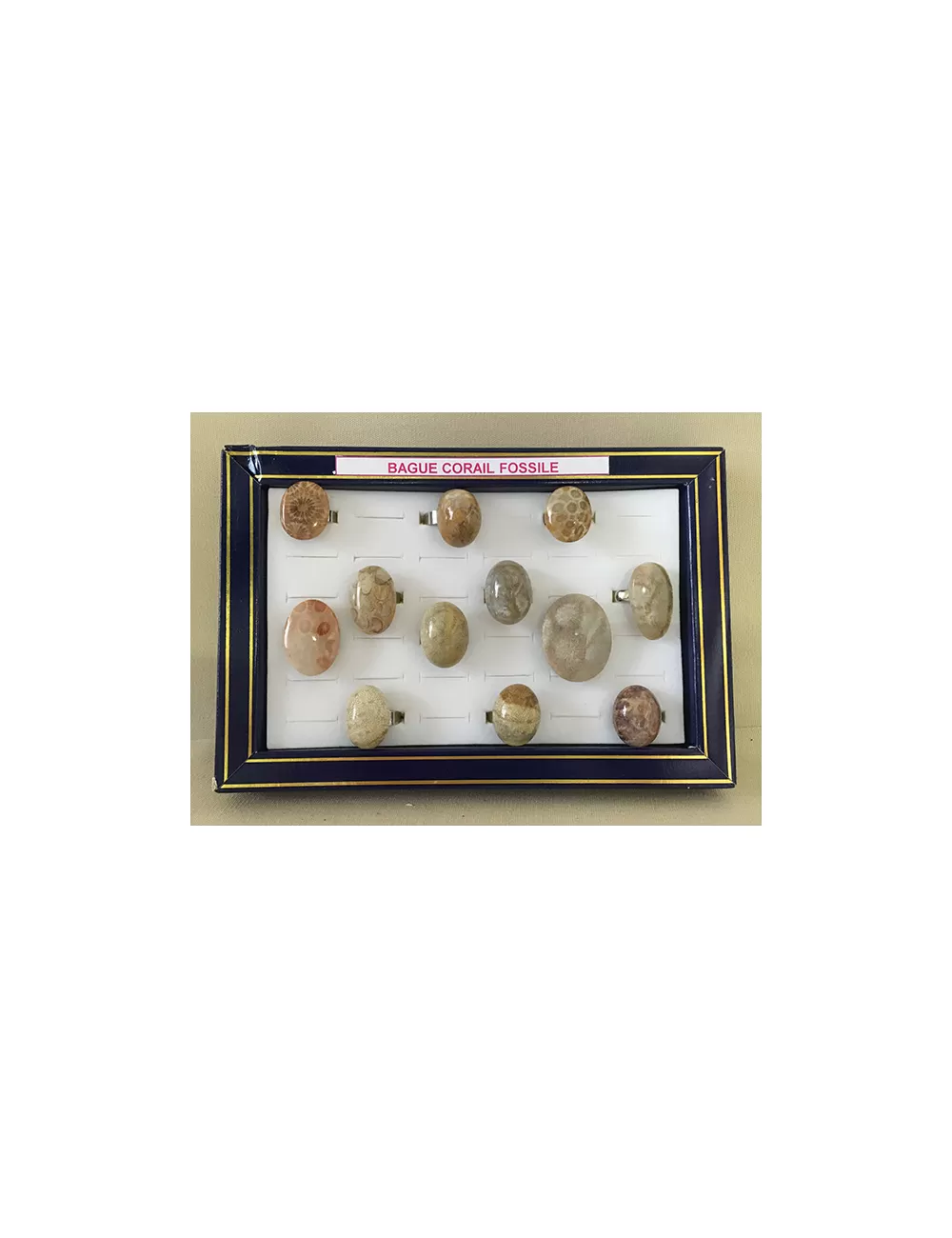 Bague réglable corail fossile