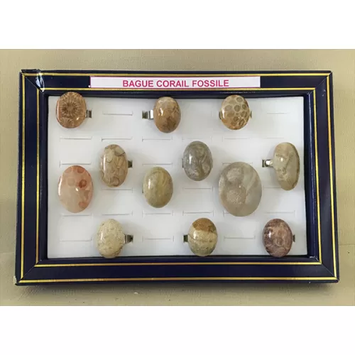 Bague réglable corail fossile