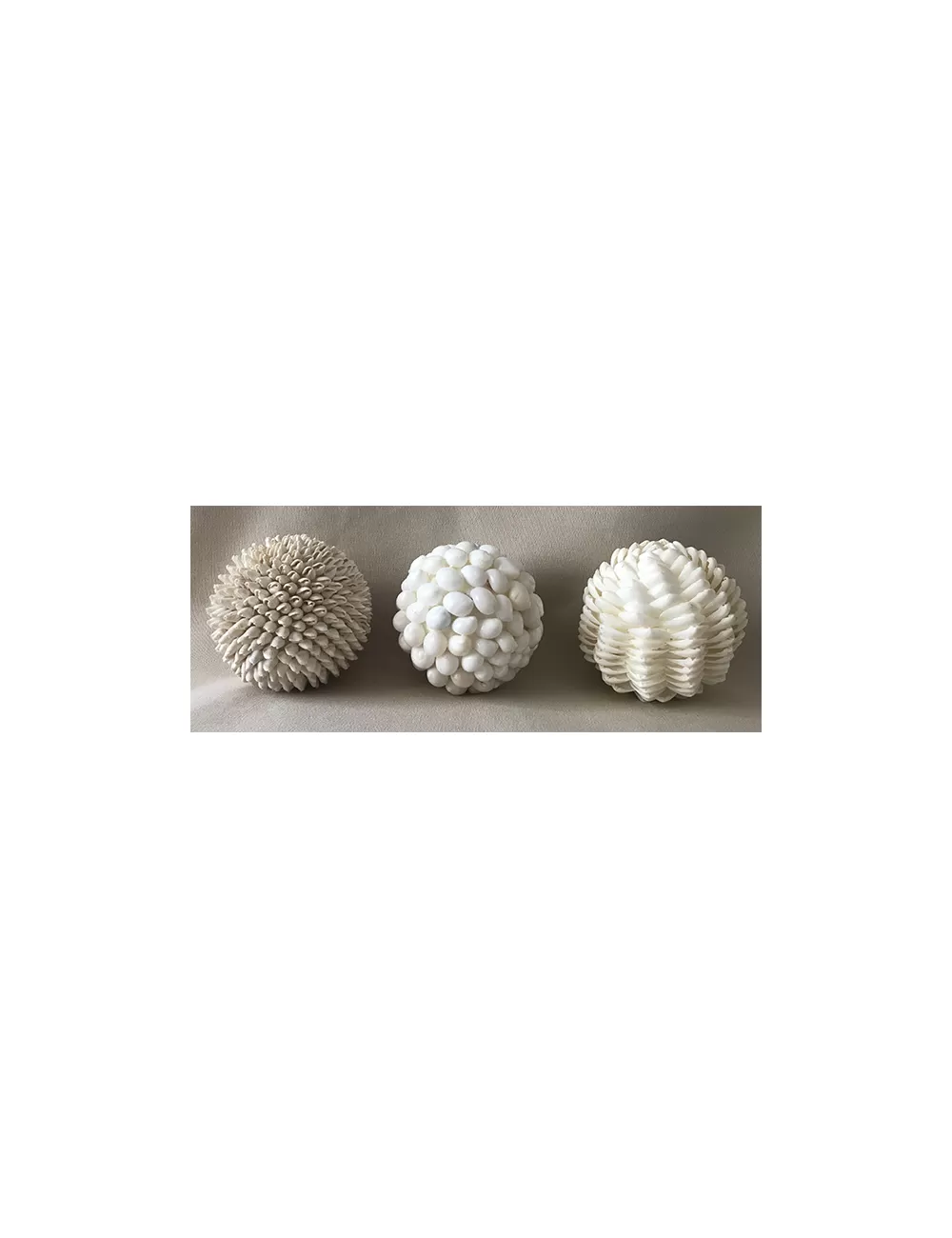 Boules coquillages 10cm lot de 3