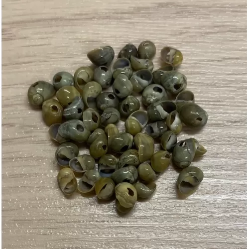 Mango verte perforées pochette 200pcs