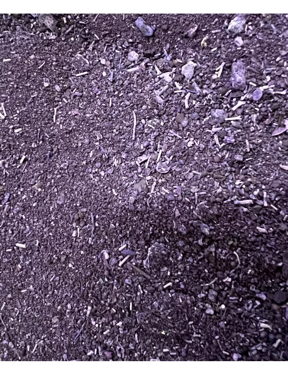 Sable teinté violet par 1kg