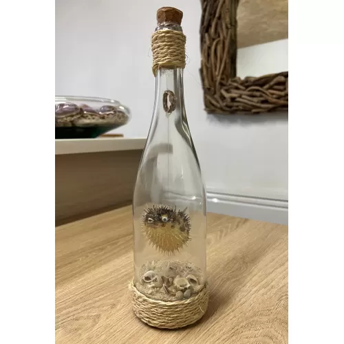 Bouteille 30cm sable et diodon