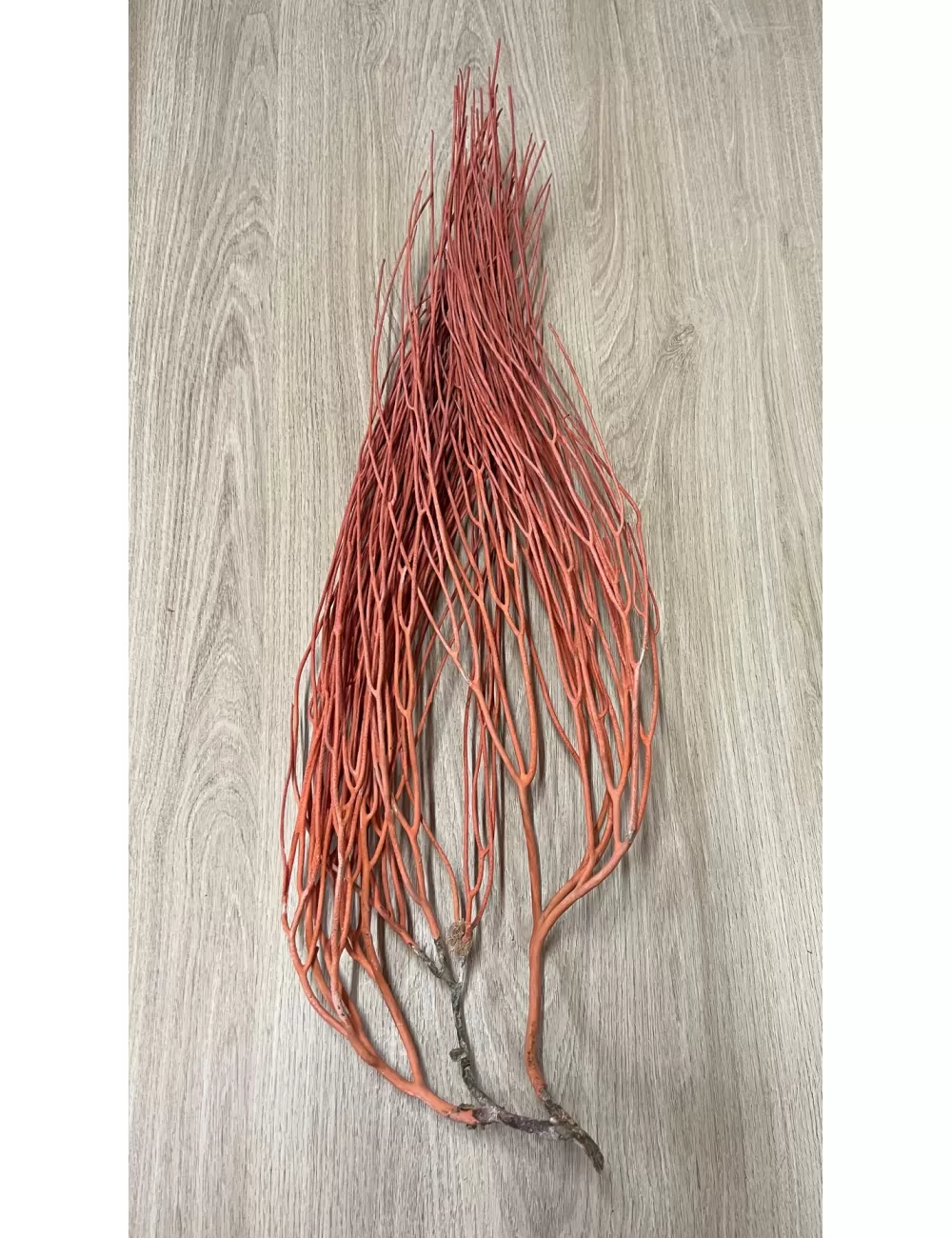 Gorgone balai orange 60/70cm