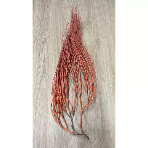 Gorgone balai orange 60/70cm