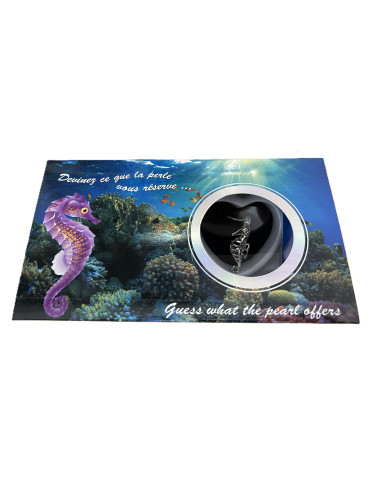 Coffret perle de culture naturelle dans huitre avec chaine Hippocampe