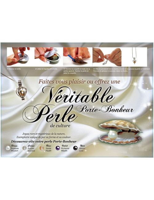 Coffret perle de culture naturelle dans huitre avec chaine Tortue