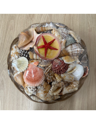 Panier 30cm rempli de coquillages