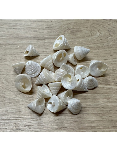 Trocha nacré 1.5/2.5cm vendu au kilo