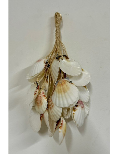 Tresse de coquillages 20cm